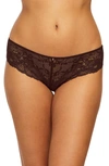 Montelle Intimates Brazilian Lace Panties In Cocoa