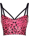 Dolce & Gabbana Leopard-print Bustier Top In Pink