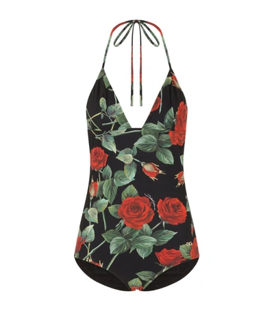 Dolce & Gabbana Rose-print One-piece Swimsuit In Multicolor