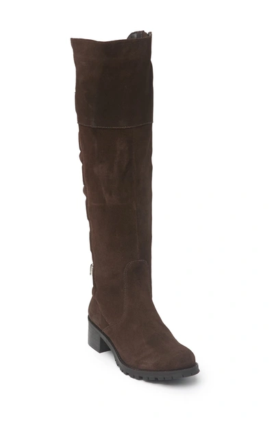 Matisse Lia Tall Buckled Leather Boot In Brown
