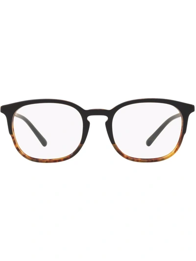 Burberry Eyewear Be2272 Top Black On Havana Glasses In White