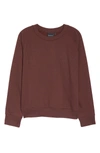 Richer Poorer Raglan Sweatshirt In Truffle