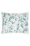 Matouk Garden Gate Cotton Sham In Azure