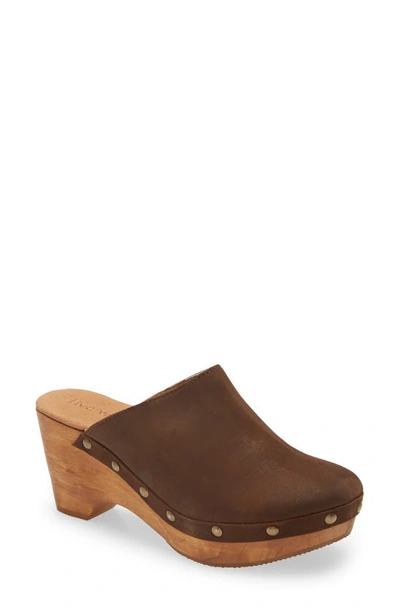 Cordani Zorba Clog In Brown