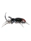 LLADRÒ RHINOCEROS BEETLE,400014737731