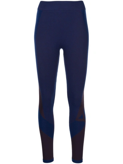 Y-3 Seamless Colourblock-knit Tights In Blue