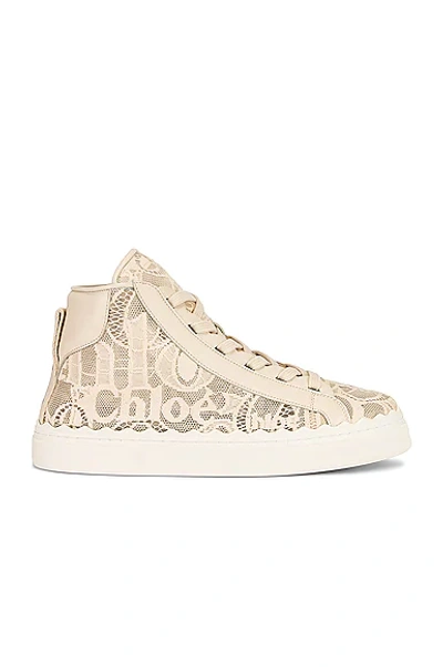 Chloé Lauren Sneakers With Lace Details In Neutral