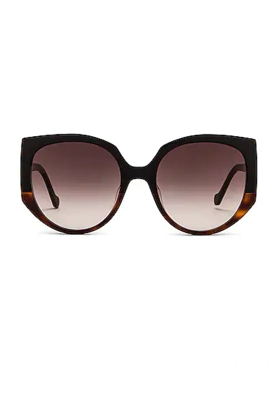 Loewe Cat-eye Acetate Sunglasses In Black/brown