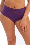 Elomi Cate Full Figure High Waist Briefs In Plum