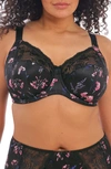 Elomi Full Figure Morgan Banded Underwire Stretch Lace Bra El4110, Online Only In Moonlit Meadow