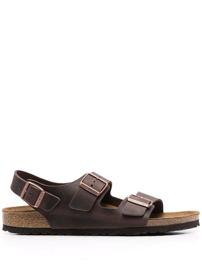 Birkenstock Arizona Buckle Sandals In Braun