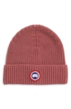 Canada Goose Arctic Disc Ribbed Toque Beanie In Soft Mauve/ Mauve Tamise