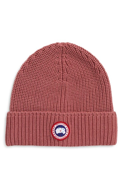 Canada Goose Arctic Disc Ribbed Toque Beanie In Soft Mauve/ Mauve Tamise