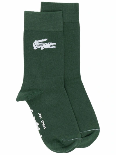 Lacoste Intarsia-logo Knitted Socks In Green
