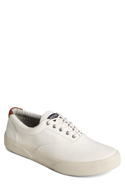 Sperry Top-sider Halyard Cvo Plushstep Sneaker In White