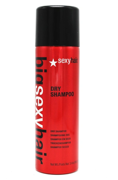 Big Sexy Hair Sexy Hair  Volumizing Dry Shampoo