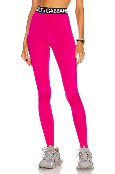 Dolce & Gabbana Logo-waistband Stretch-fit Leggings In Pink