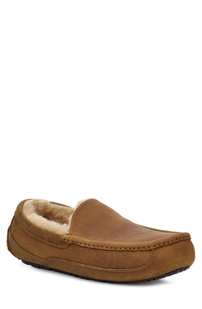 Ugg Ascot Leather Slipper In Tan/ Tan