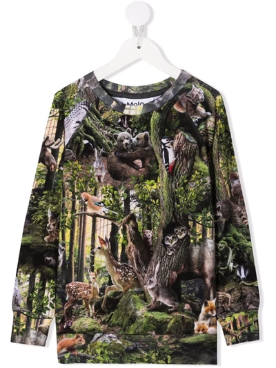 Molo Kids' Forest-print Crew Neck Jumper In Green