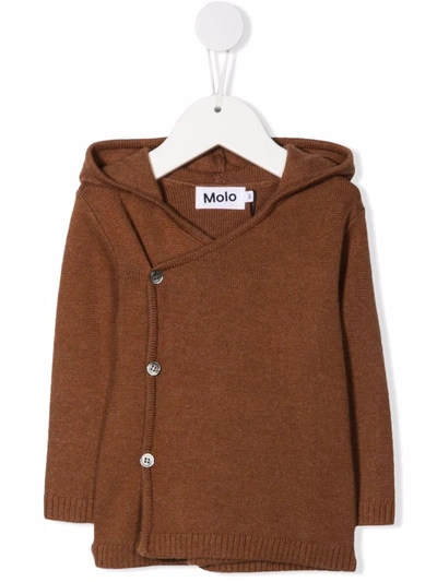 Molo Babies' Off-centre Button Hoodie In Brown