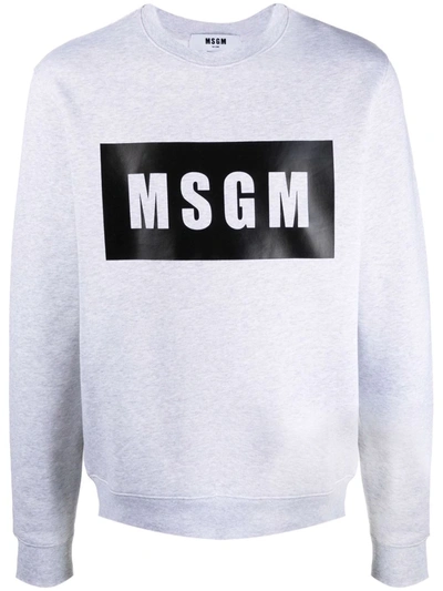 Msgm Logo-print Cotton Sweatshirt In Grey