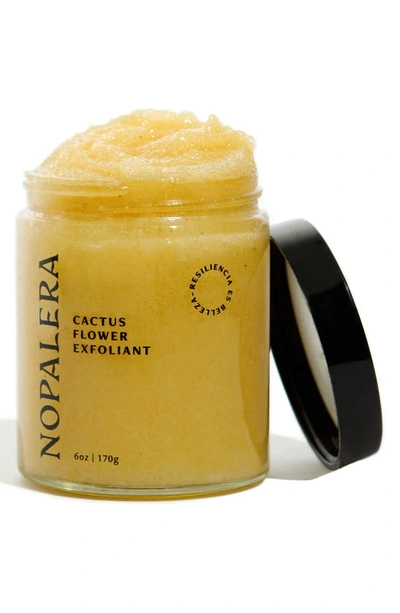 Nopalera Cactus Flower Exfoliant, 6 oz