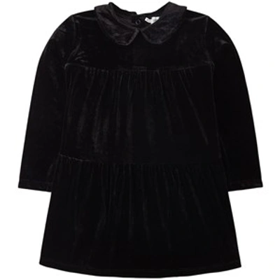 Sproet And Sprout Kids' Black Velvet Dress