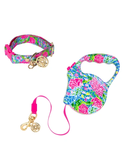 Lilly Pulitzer Bunny Business Dog Lead Leash & Collar, S/m In Pink