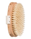 MILA MOURSI REJUVENATING DRY BODY BRUSH,PROD244430118