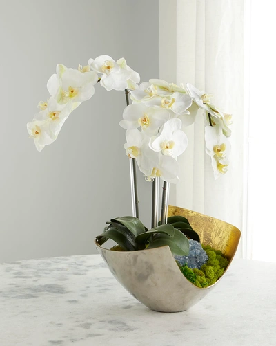T & C Floral Company Faux Floral Orchids And Blue Celestite With Contemporary Scoop Vase
