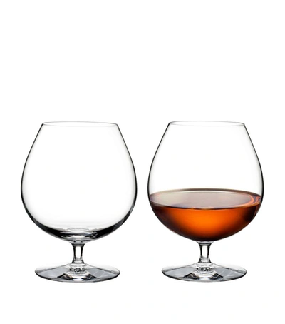 Waterford Elegnc Brandy Glass Pair In Clear