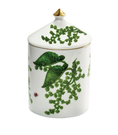 Halcyon Days Al Fresco Hyacinth Lidded Candle In Multi