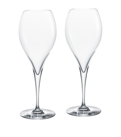 Baccarat Set Of 2 Oenologie Champagne Flutes (280ml) In Multi