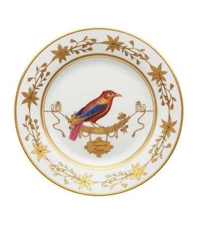 Ginori 1735 Volière Tanager Dinner Plate (26.5cm) In Multi