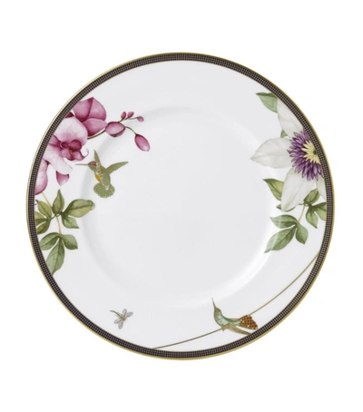 Wedgwood Hummingbird Dinner Plate (27.5cm) In Multi