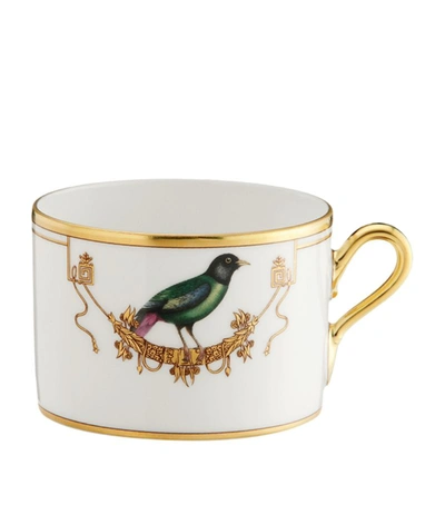 Ginori 1735 Volière Teacup In Multi