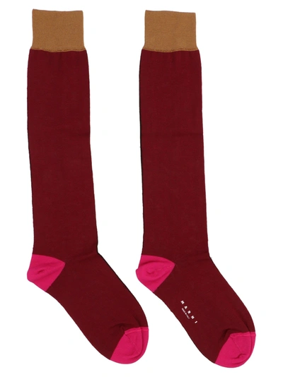 Marni Logo Colour-block Socks In Black