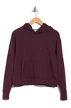 James Perse Relaxed Cropped Hoodie In Pure Raisin