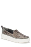 Baretraps Nevin Platform Slip-on Sneaker In Slate Snake
