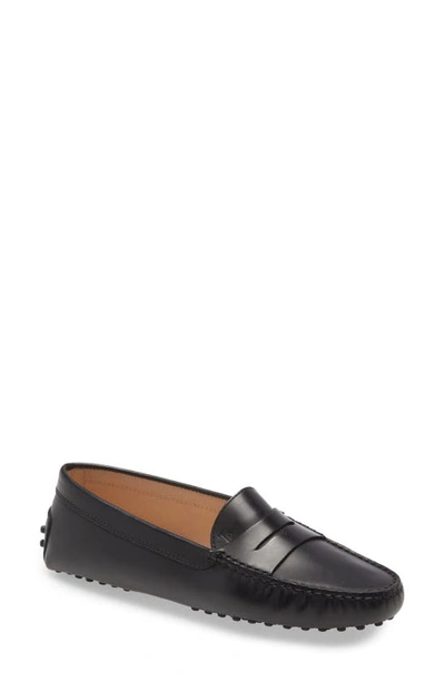 TOD'S GOMMINO PENNY LOAFER,XXW00G00010QGWB999