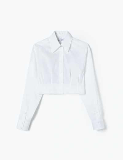 A-line Dart-detail Cropped Shirt In Ice