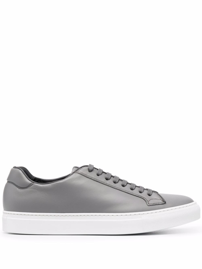 Scarosso Ugo Low-top Leather Sneakers In Grey Calf