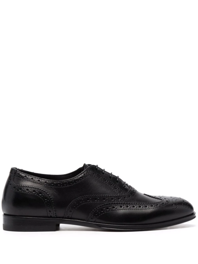Scarosso Judy Lace-up Brogues In Blue - Calf