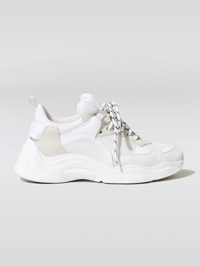 Iro Curverunner Sneaker - White/beige - 37 |