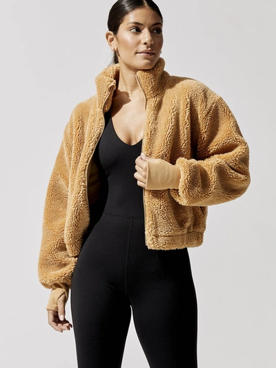 Carbon38 Teddy Zip Up Jacket In Roots