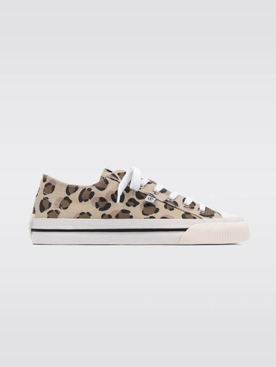 Axel Arigato Midnight Low Sneaker - Leopard - Size 36