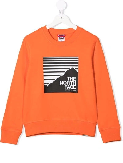 The North Face Kids' Mountain Logo-print Sweatshirt In Orange