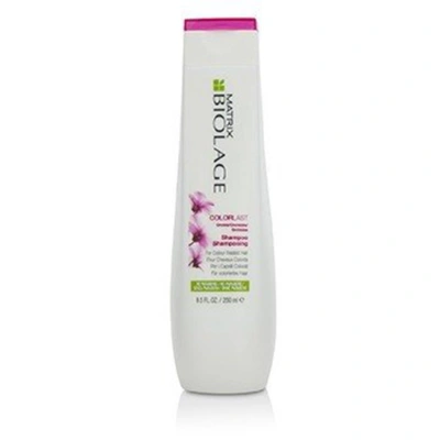 Matrix Biolage Colorlast Shampoo 8.5 oz For Color-treated Hair Hair Care 3474630620766