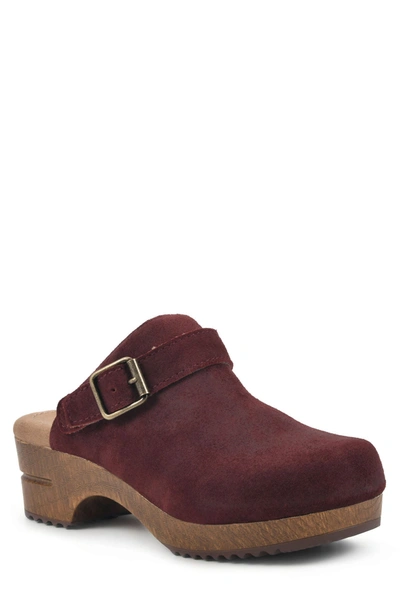 White Mountain Being Buckled Leather Clog In Vino/suede