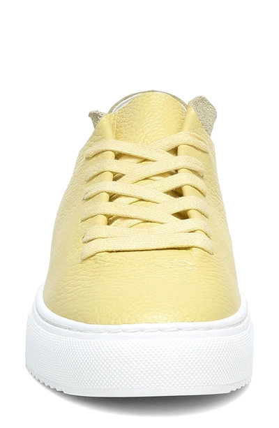 Sam Edelman Women's Poppy Lace-up Sneakers Women's Shoes In Canary Yellow